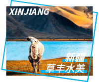 新疆旅游