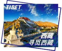 西藏旅游